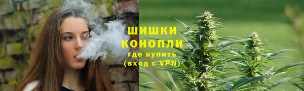 винт Белокуриха